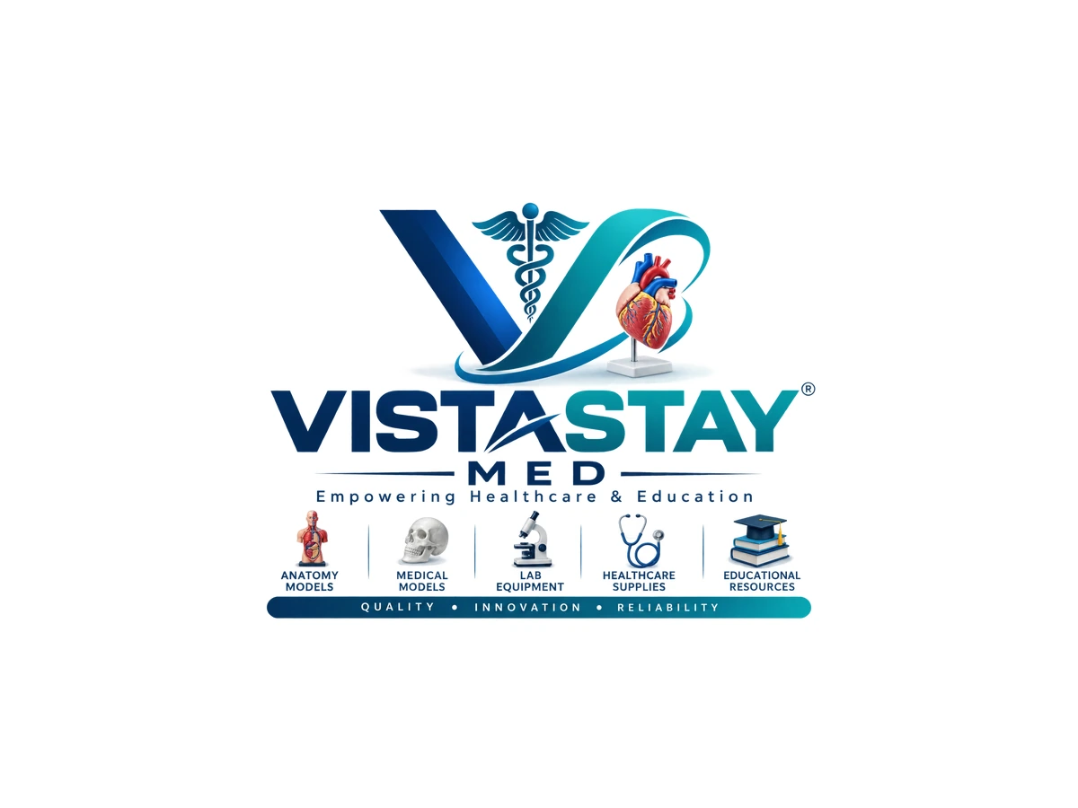 Cubital Fossa -