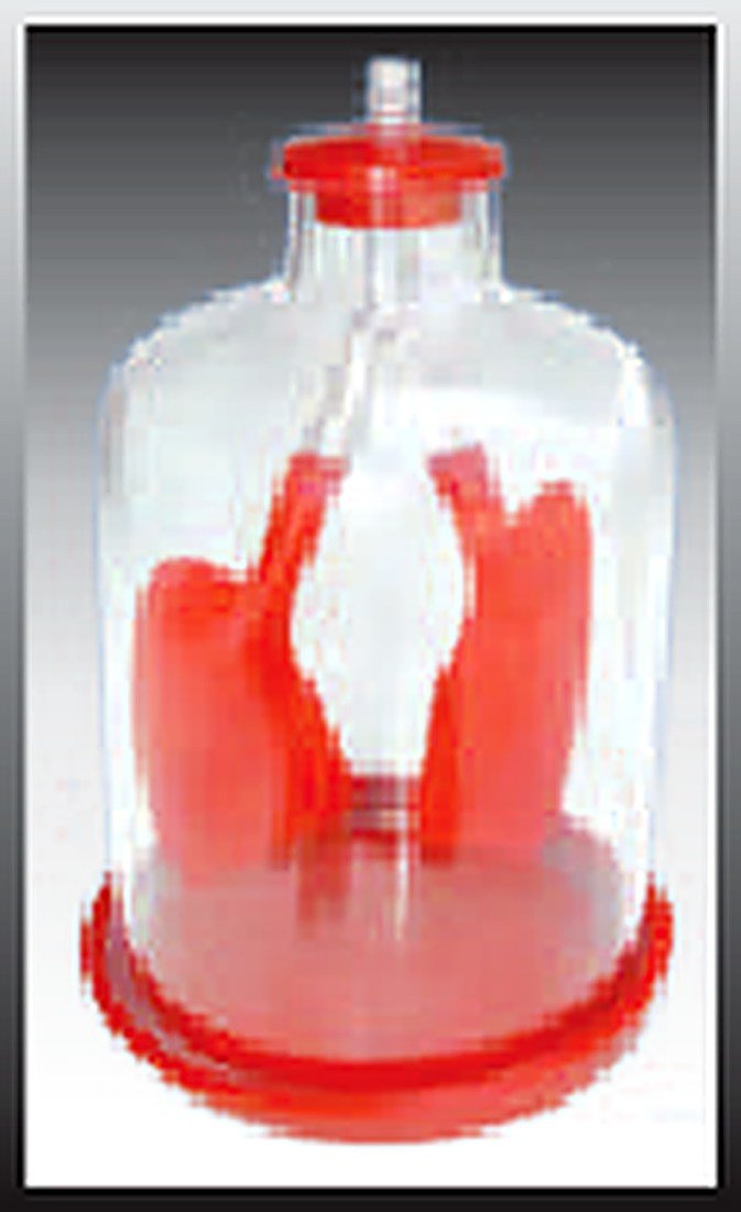 LUNG DEMONSTRATION MODEL (IMPORTED) -