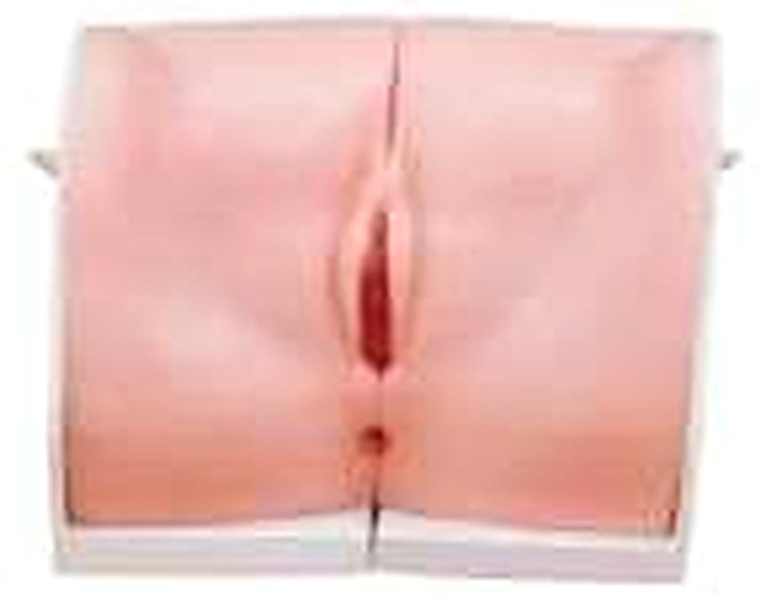 CONTRACEPTION GUIDANCE MODEL