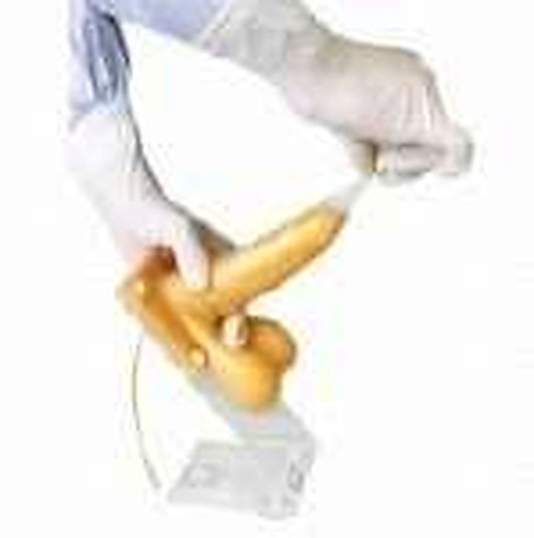 MALE CONDOM TRAINING MODEL (IMPORTED)-