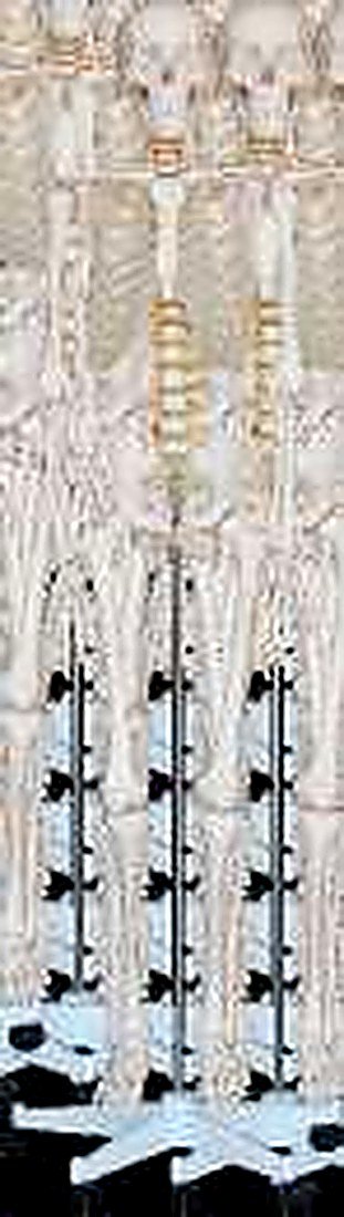 HUMAN SKELETON LIFE SIZE (180CM) with stand