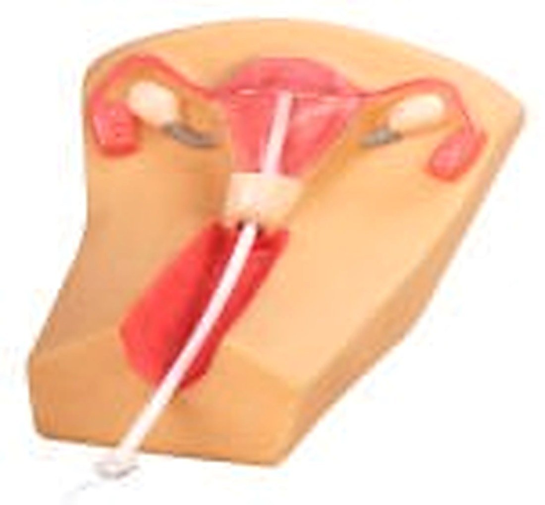 IUD TRAINING SIMULATOR (IMPORTED) - Basing