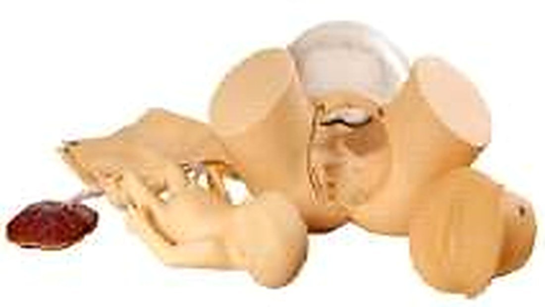 CHILD BIRTH SKILL TRAINING SIMULATOR