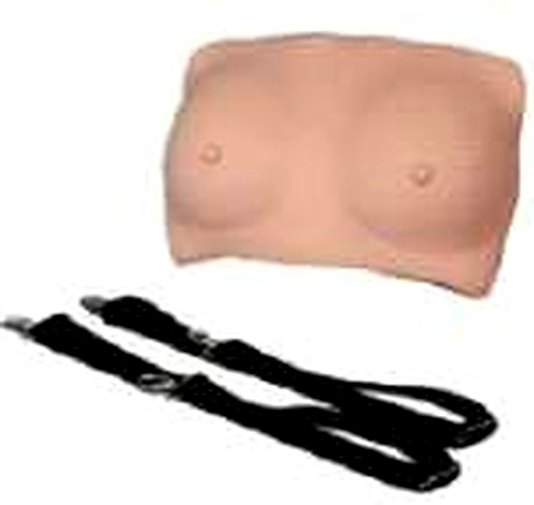 BREAST EXAMINATION MODEL(IMPORTED) -