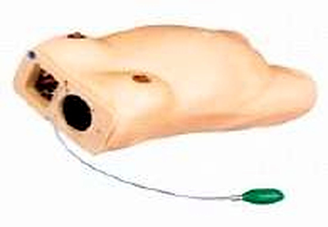 MATERNITY EXAMINATION MODEL (IMPORTED) -