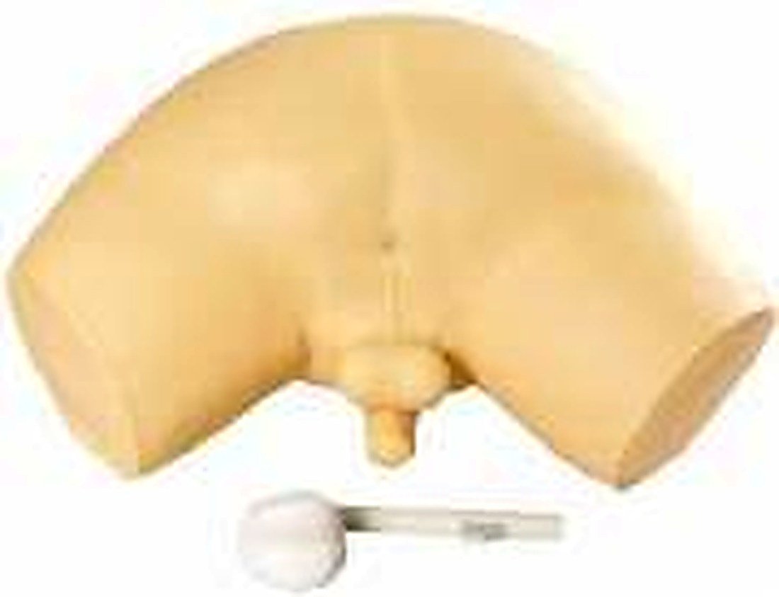 PROSTATE INSPECTION SIMULATOR