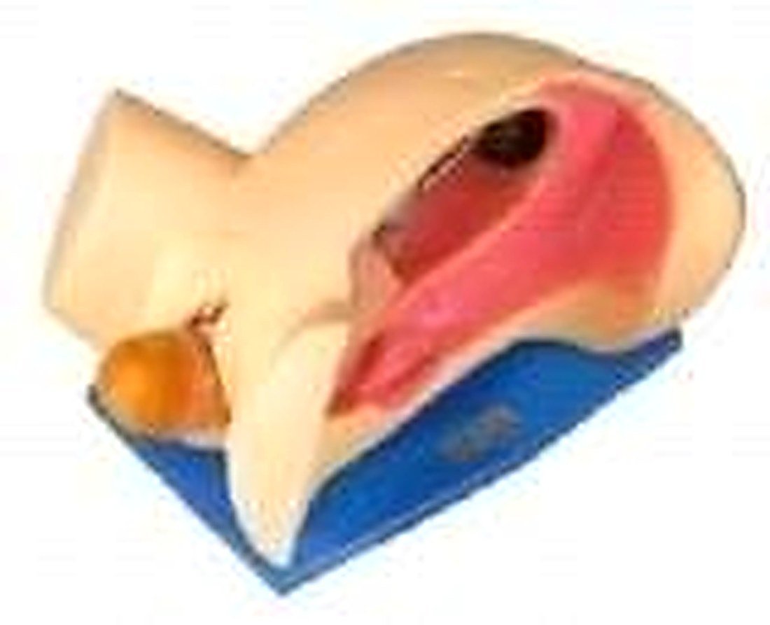 MODEL FOR COURSE DELIVERY (LEOPOLD MANUVER SIMULATOR) (IMPORTED) - Delivery