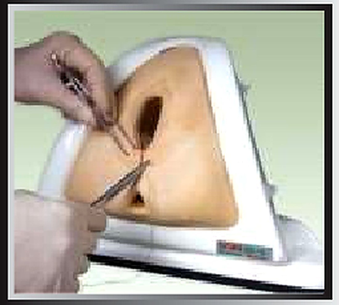 PERINEUM CUTTING AND SUTURING TRAINING