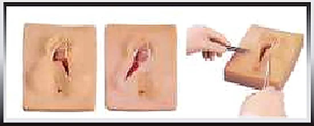 VULVA SUTURING TRAINING SIMULATOR