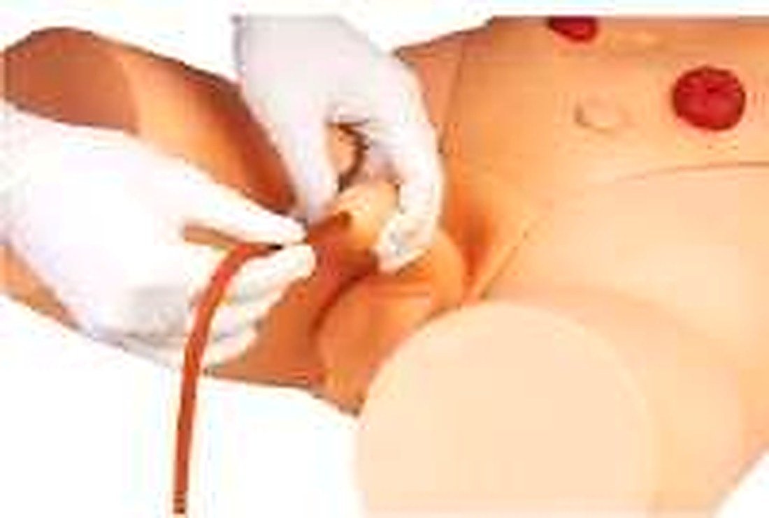 MALE CATHERIZATION TRAINING SIMULATOR (IMPORTED) -