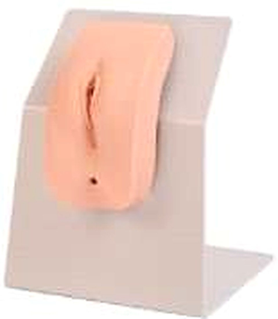 ADVANCED WEARABLE FEMALE URETHRAL CATHETERIZATION MODEL (IMPORTED)