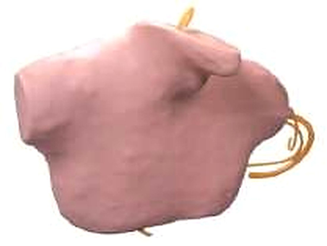 CENTRAL VENOUS PUNCTURE AND CATHETERIZATION MODEL (IMPORTED) -