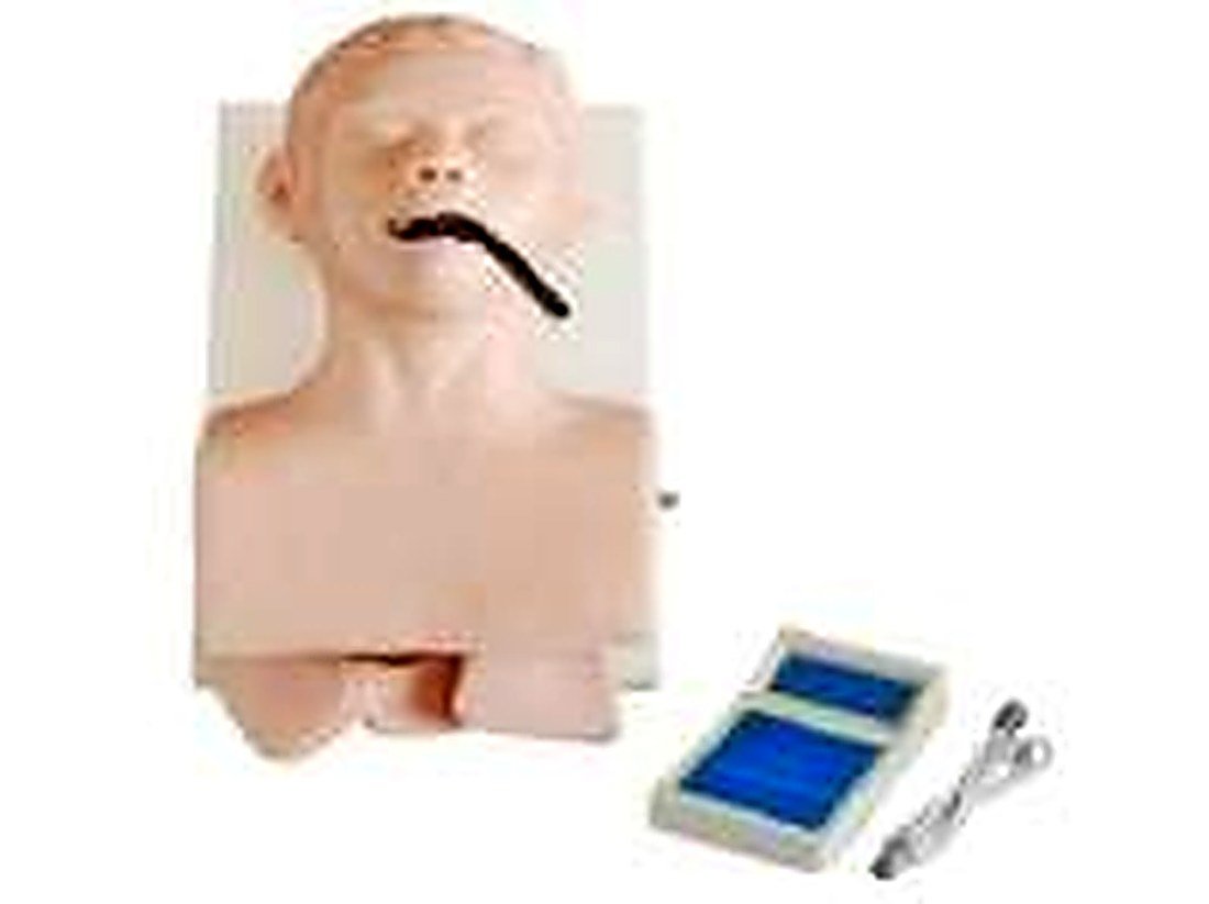 HUMAN TRACHEA INTUBATION MODEL WITH