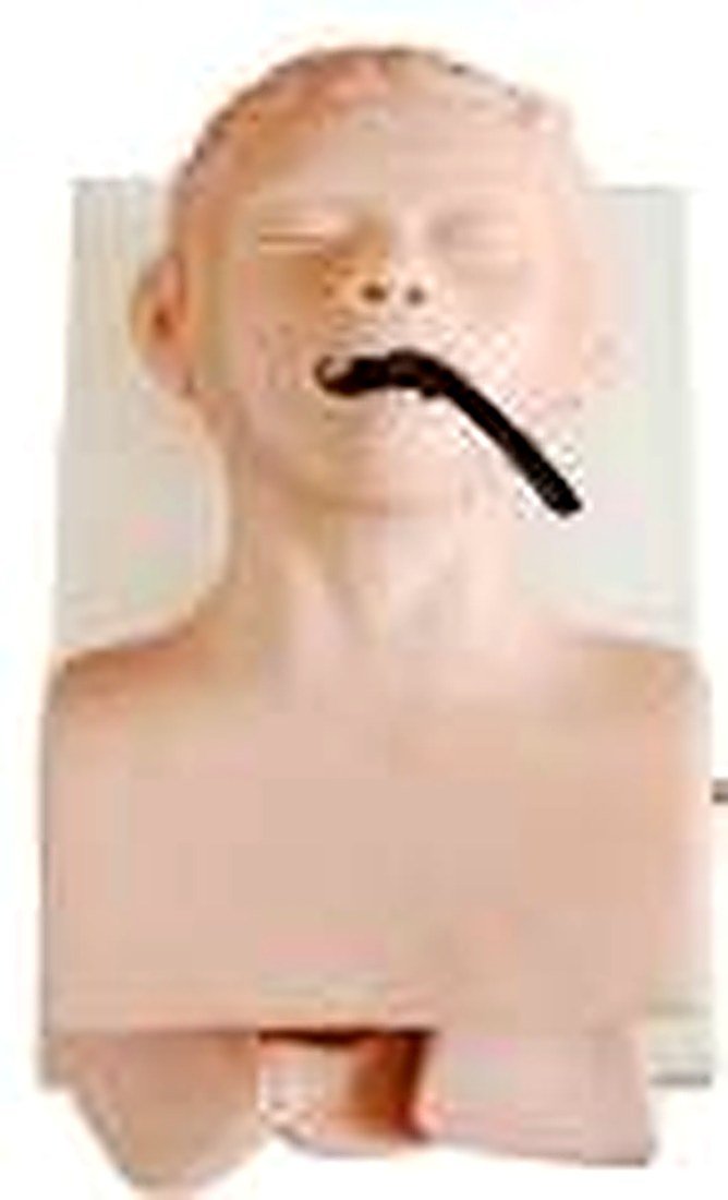 HUMAN TRACHEA INTUBATION MODEL WITHOUT MONITOR (IMPORTED) - This model is