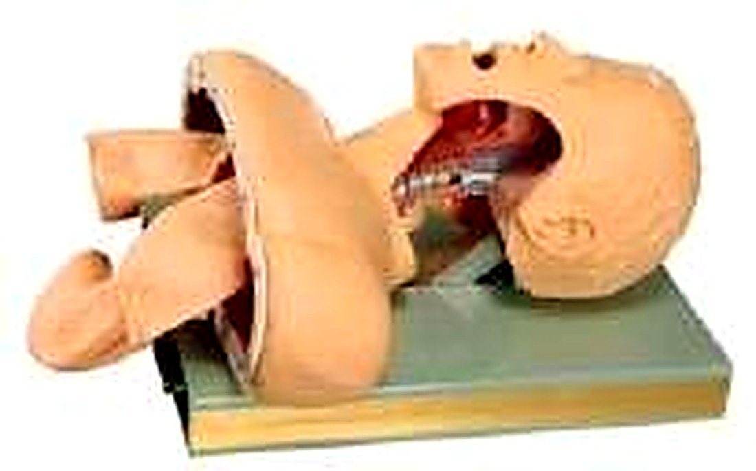 AIRWAY INTUBATION SIMULATOR (IMPORTED) -