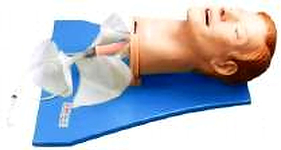 MULTIFUNCTION AIRWAY MANAGEMENT MODEL