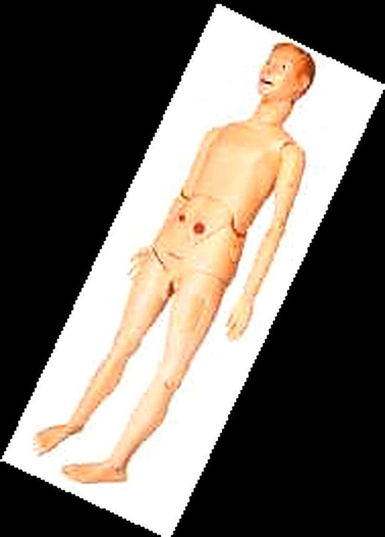 ADVANCED NURSING AND WOUND CARE MANIKIN (IMPORTED) –