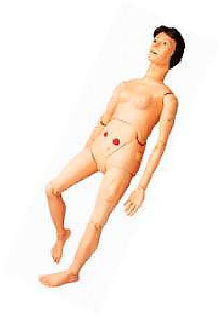 ADVANCED NURSING AND WOUND CARE MANIKIN (IMPORTED) - ) –