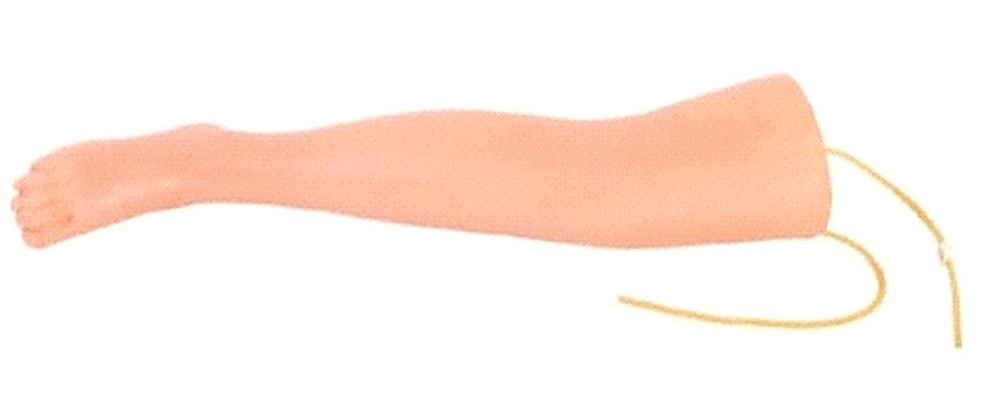 ADVANCED INTRAVENOUS TRANSFUSION LEG MODEL (IMPORTED) -