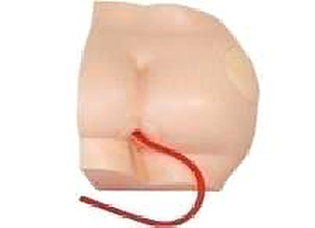 BUTTOCK INTRAMUSCULAR INJECTION MODEL