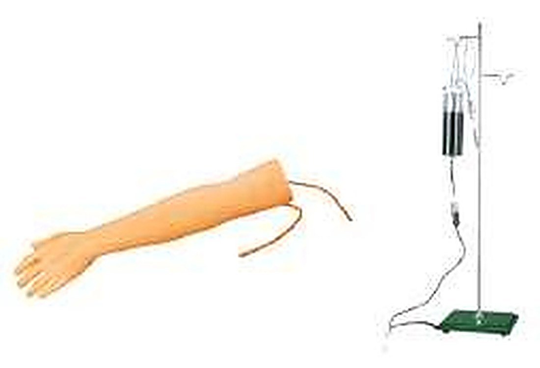 ARM VENIPUNCTURE TRAINING MODEL (IMPORTED) -