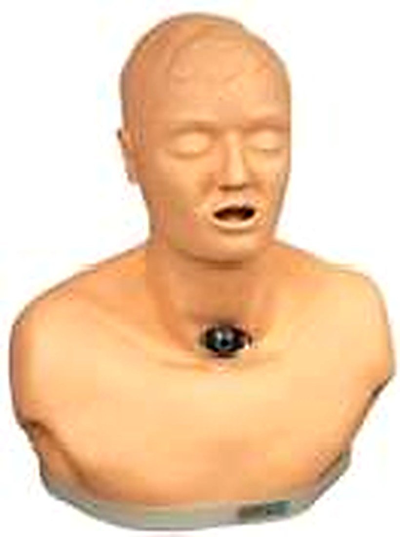 ADULT TRACHEOTOMY CARE MODEL