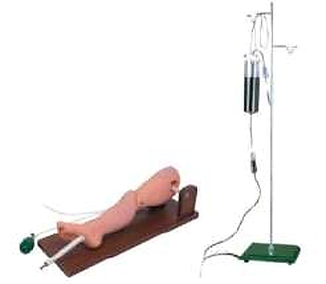BONE MARROW PUNCTURE AND FEMORAL VENIPUNCTURE MODEL (IMPORTED) -