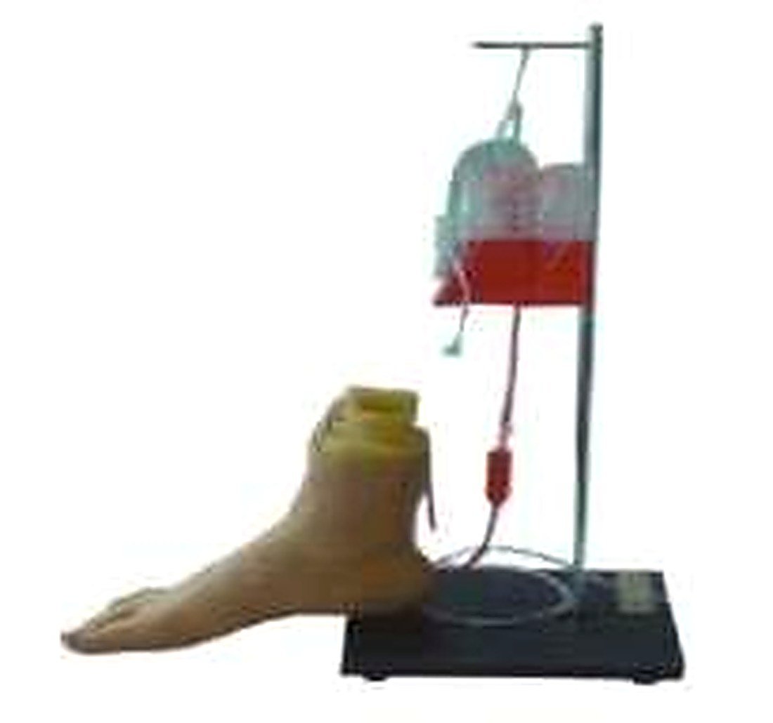FOOT VEIN INJECTION MODEL (IMPORTED) -