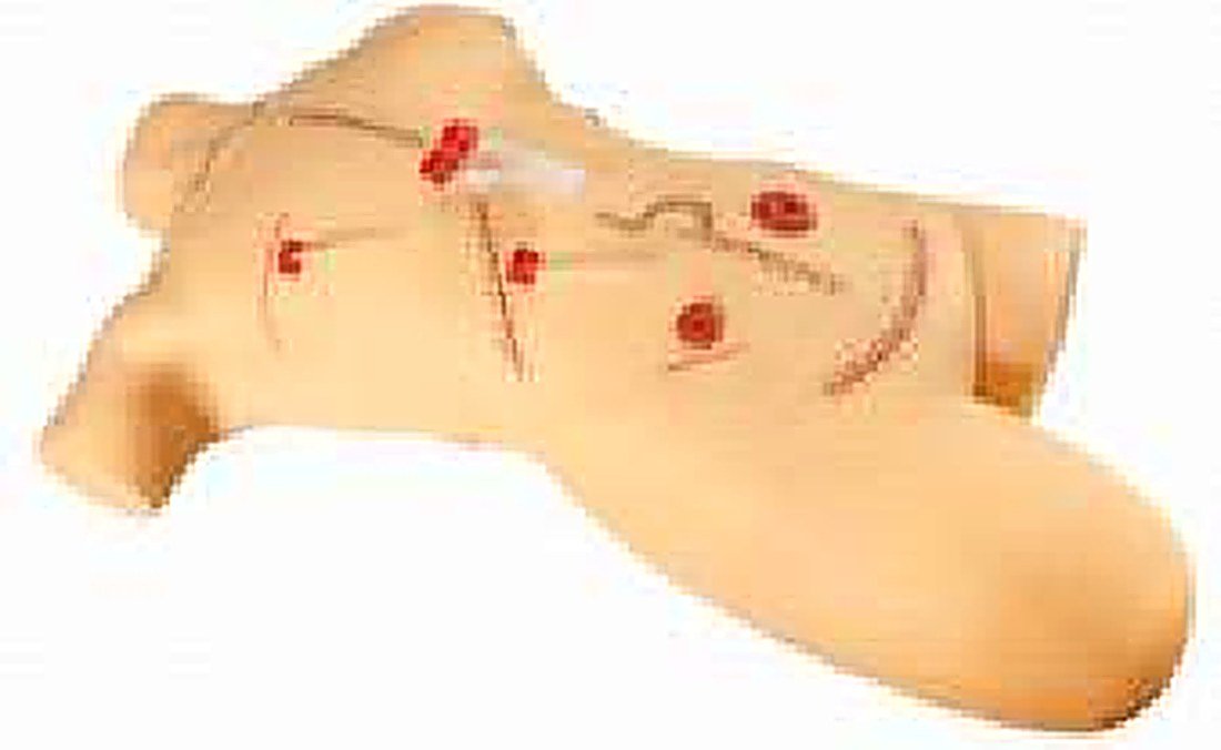SURGICAL SUTURING AND BANDAGE