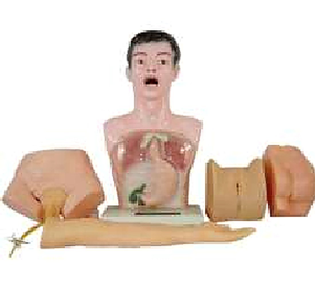 NURSE BASIC PRACTICE TEACHING MODEL