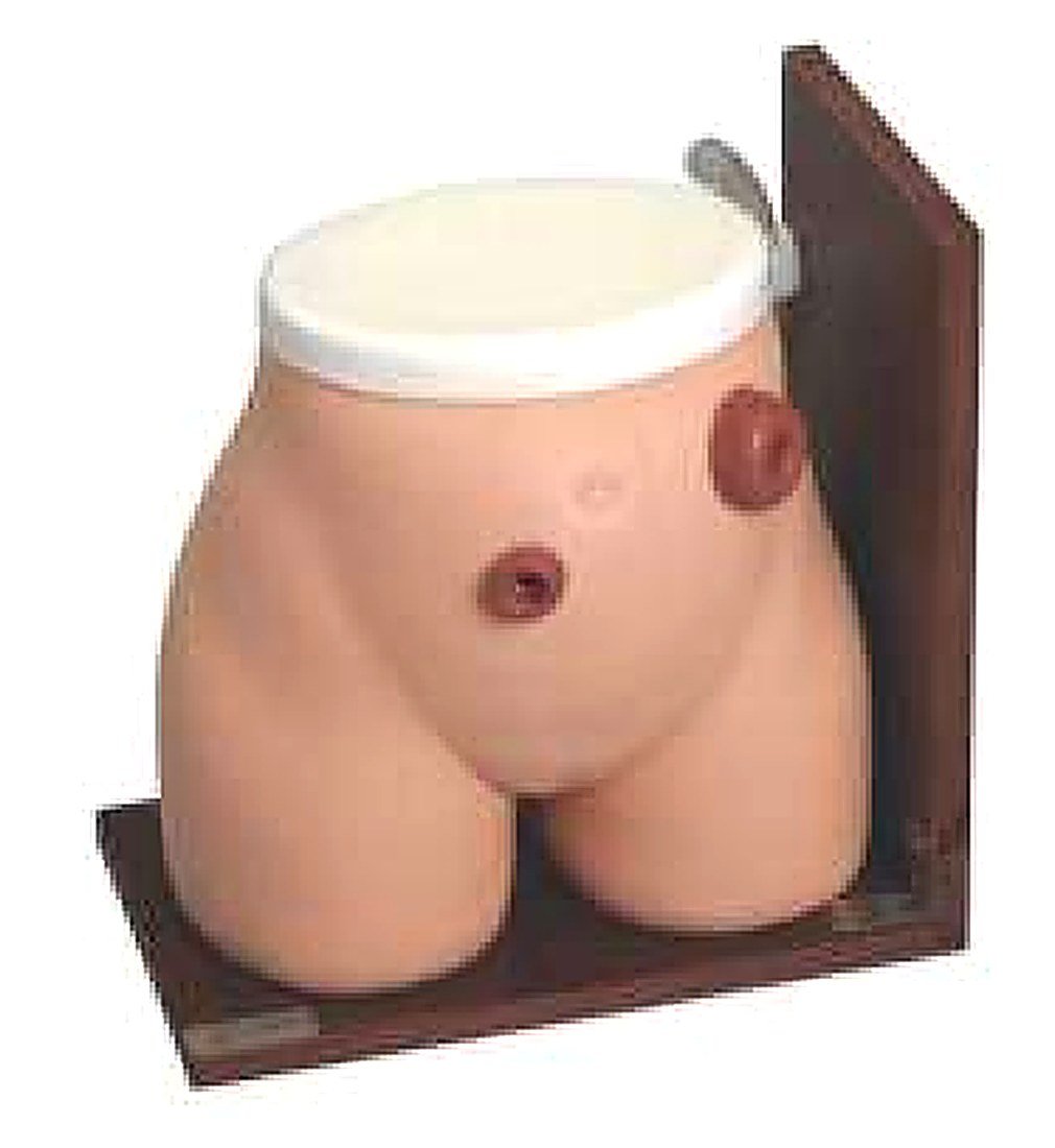OSTOMY NURSING MODEL (IMPORTED) -