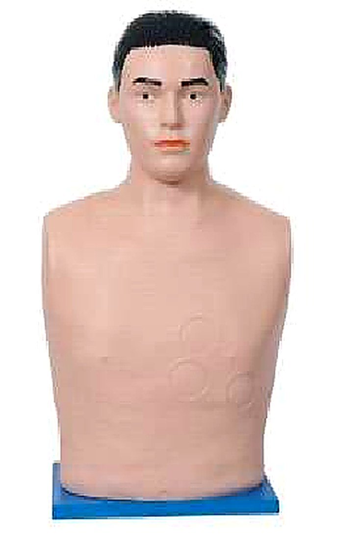 PERICARDIAL PUNCTURE AND INTRACARDIAC INJECTION SIMULATOR (IMPORTED) -