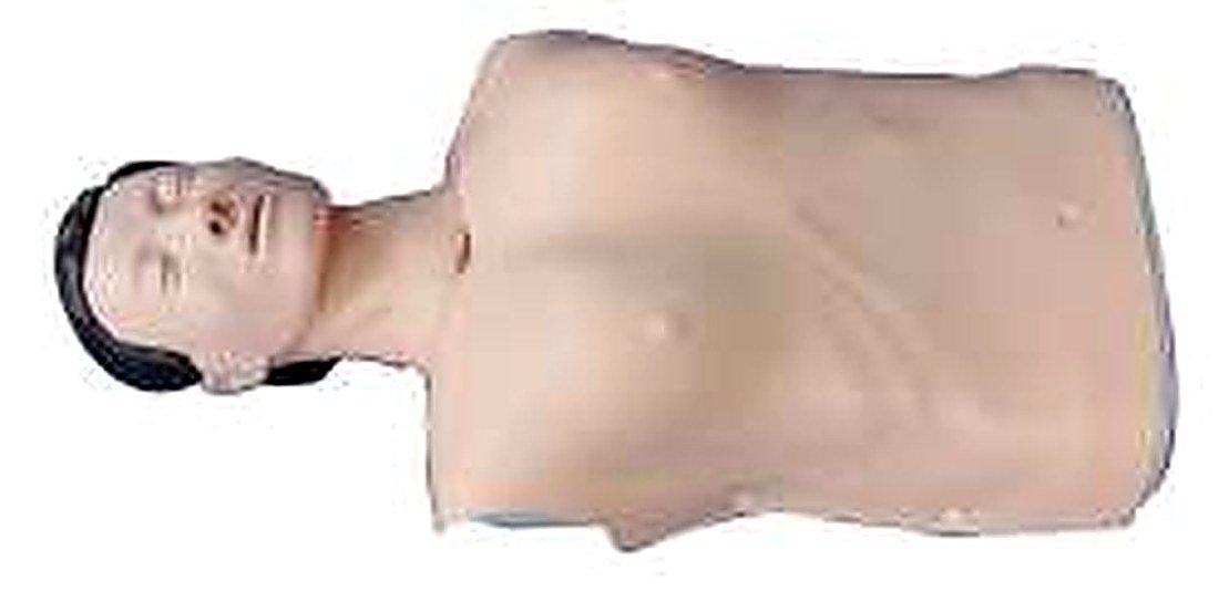 HALF BODY CPR TRAINING MODEL (MALE) (IMPORTED) -