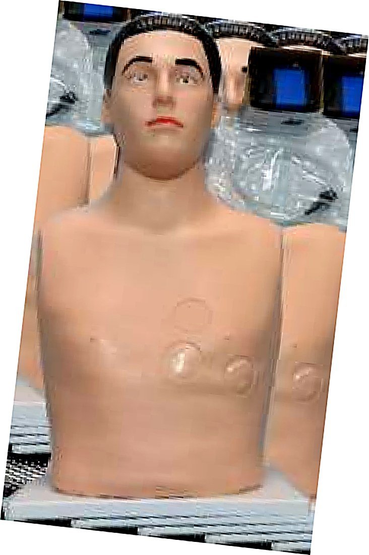 PERICARDIAL PUNCTURE AND INTRA CARDIAC INJECTION SIMULATOR