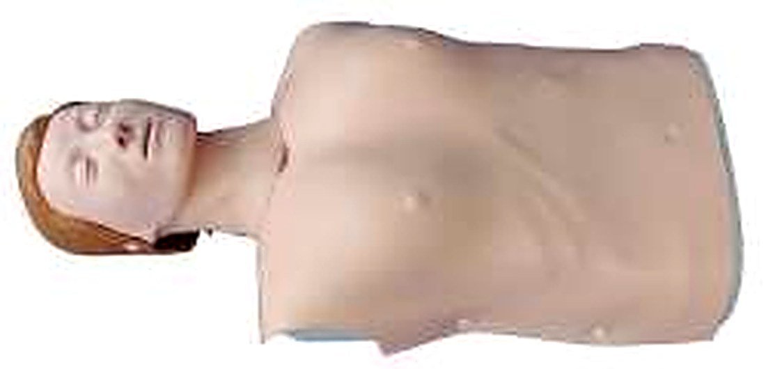 HALF BODY CPR TRAINING MODEL (FEMALE) (IMPORTED) -