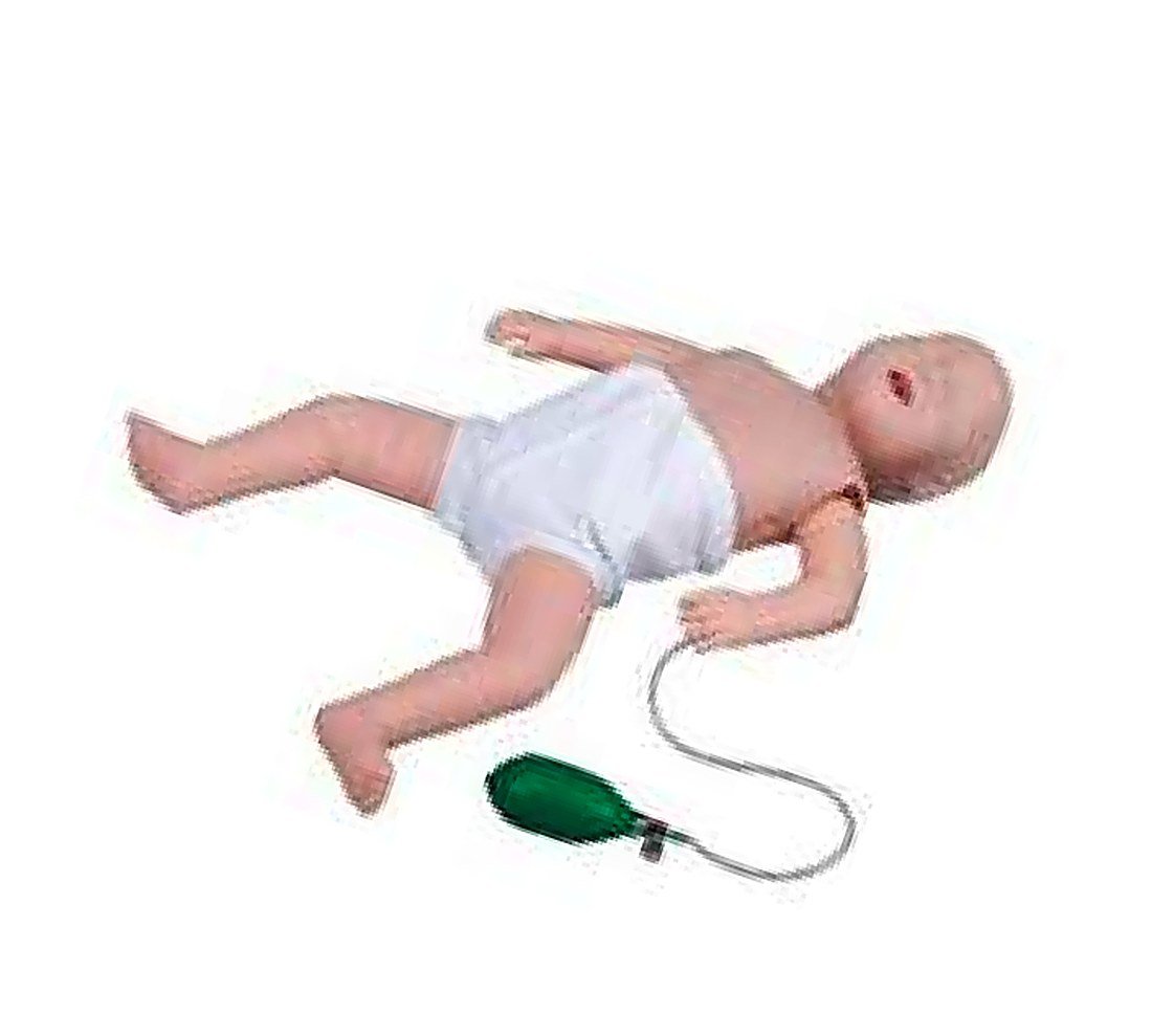 HALF-BODY CPR TRAINING MANIKIN alternate view