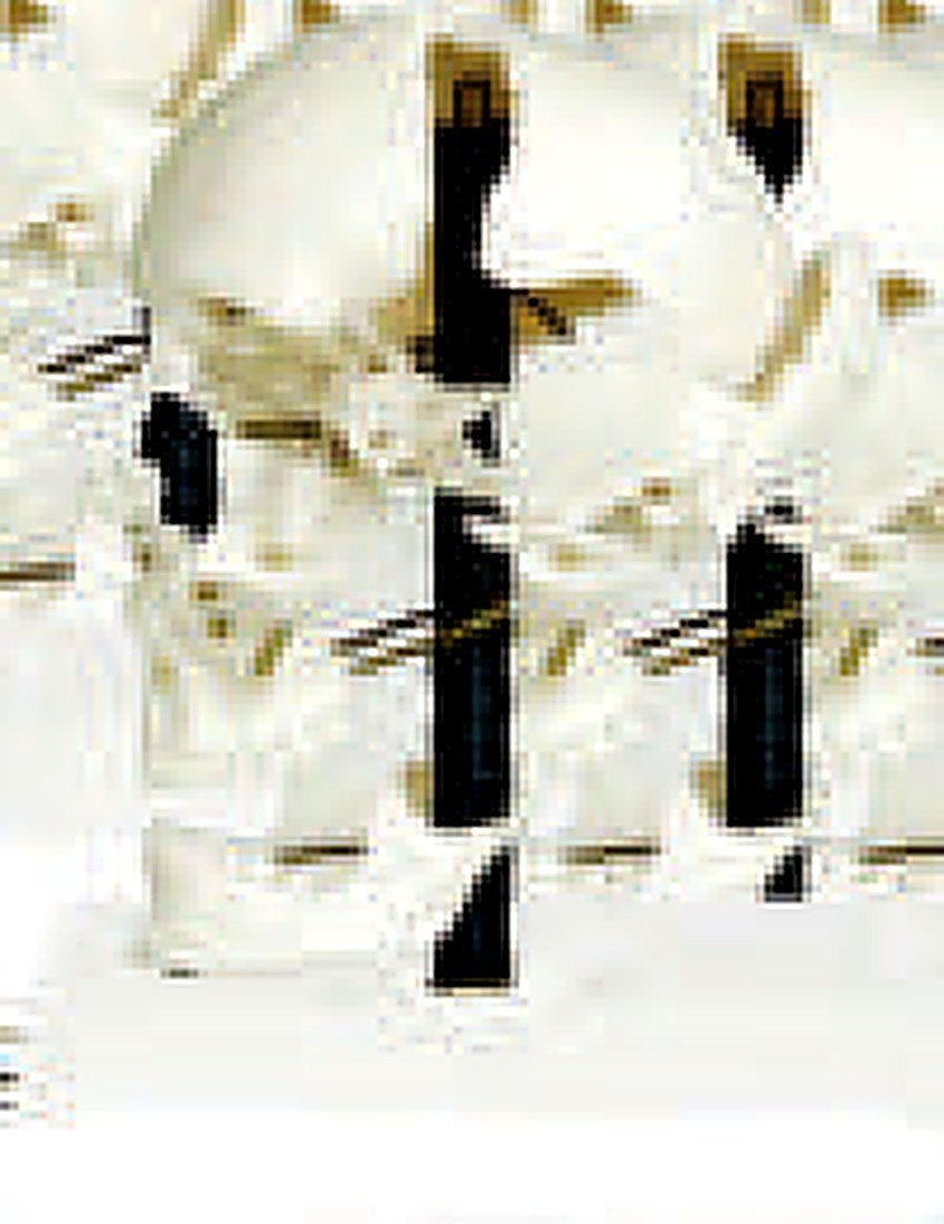 DISARTICULATED SKULL (IMPORTED) - This
