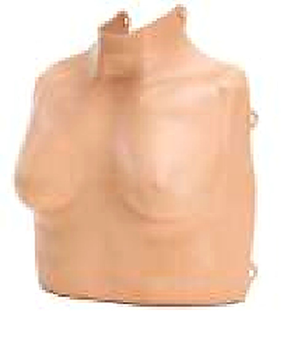 Adult Male/Child /Female Top (3-in-1) Manikin alternate view