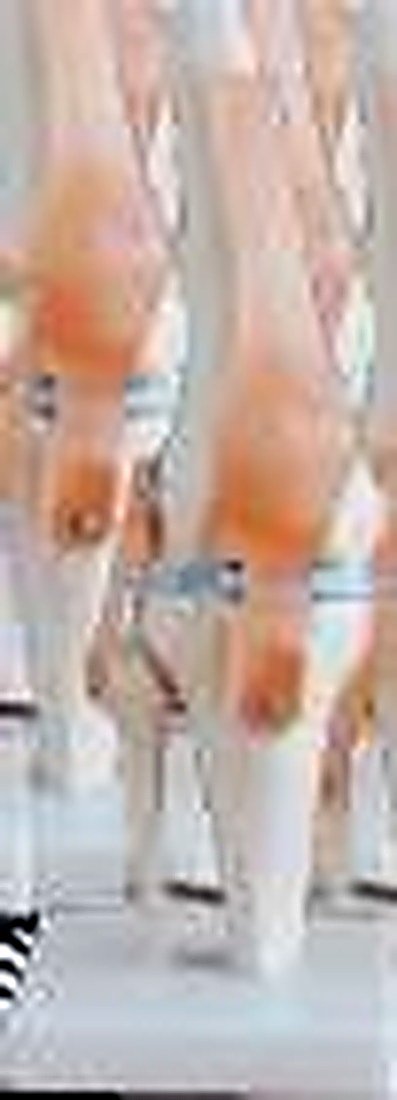 KNEE JOINT MODEL WITH LIGAMENTS (IMPORTED)