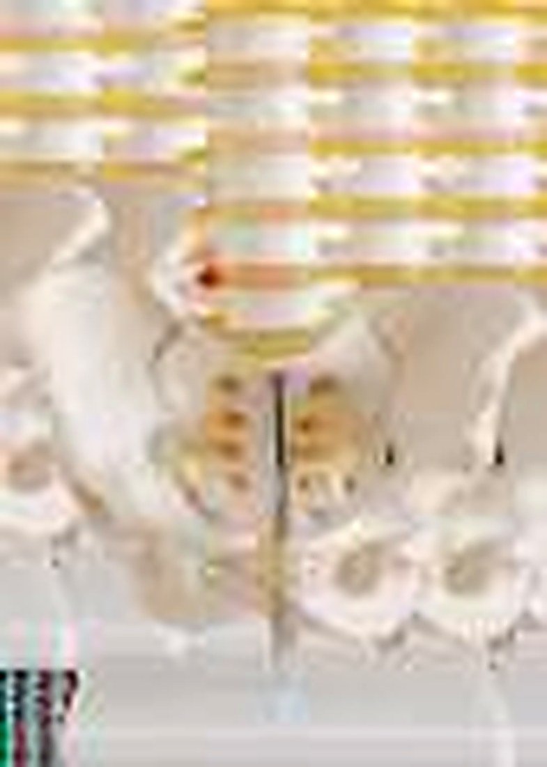 PELVIS WITH 5 PIECE LUMBAR VERTEBRAE