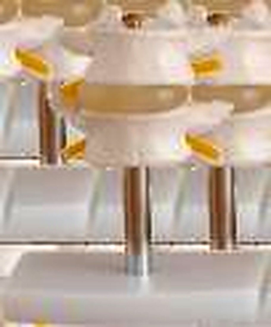 LUMBER SET (2 PCS) Life size lumbar vertebrae are shown with normal intervertebral disc and spinal cord with nerve roots. On stand
