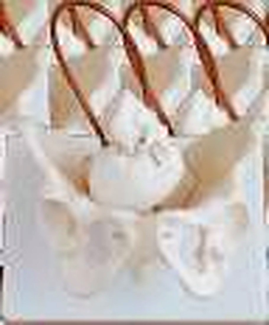 THORACIC SPINAL COLUMN(IMPORTED) -This