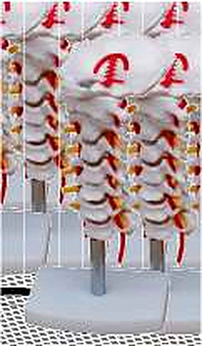LIFE SIZE SPINE WITH PELVIS AND FEMUR
