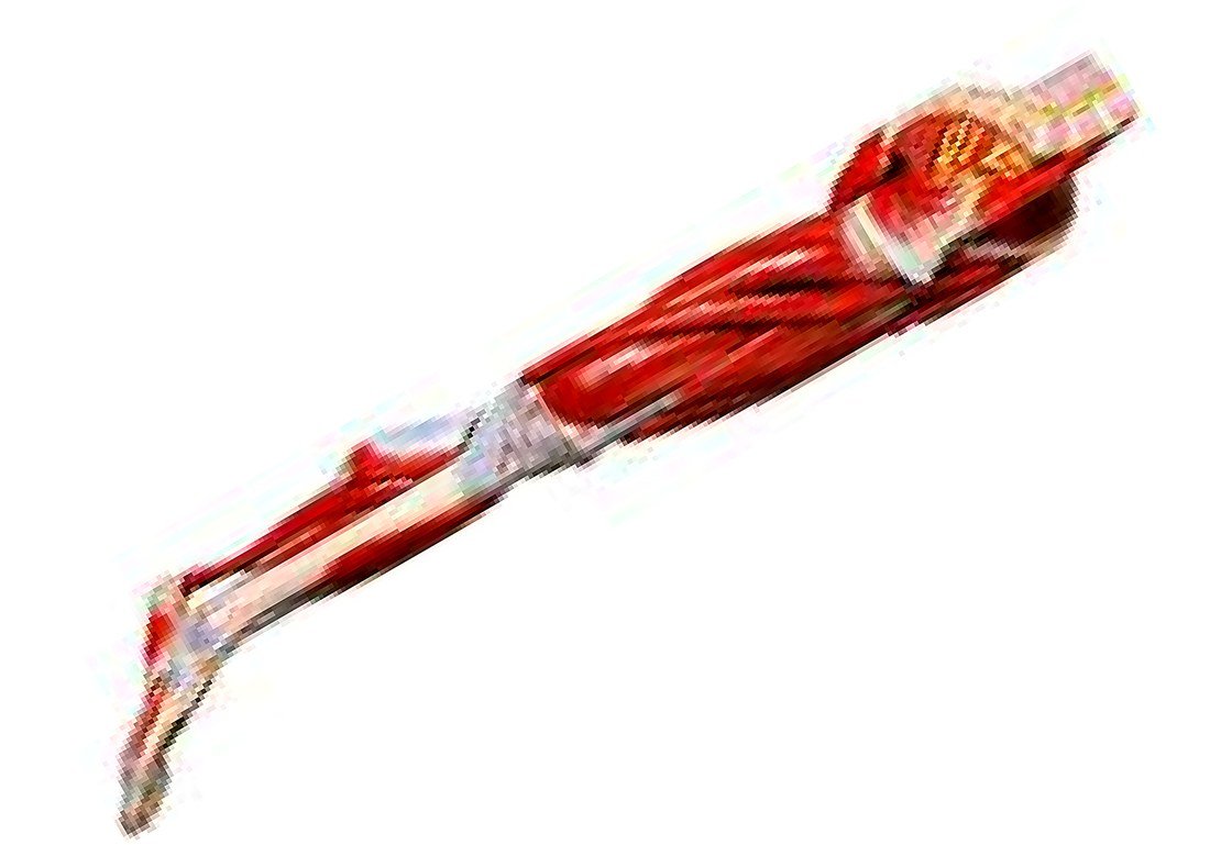 MUSCLES OF LEG WITH MALE VESSELS AND