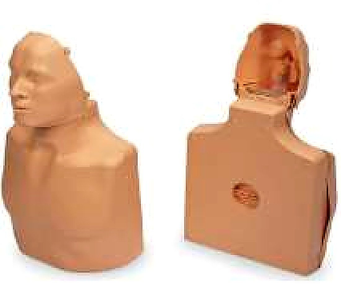 CPR Training Manikin Adult Male & Child (2-in-1)