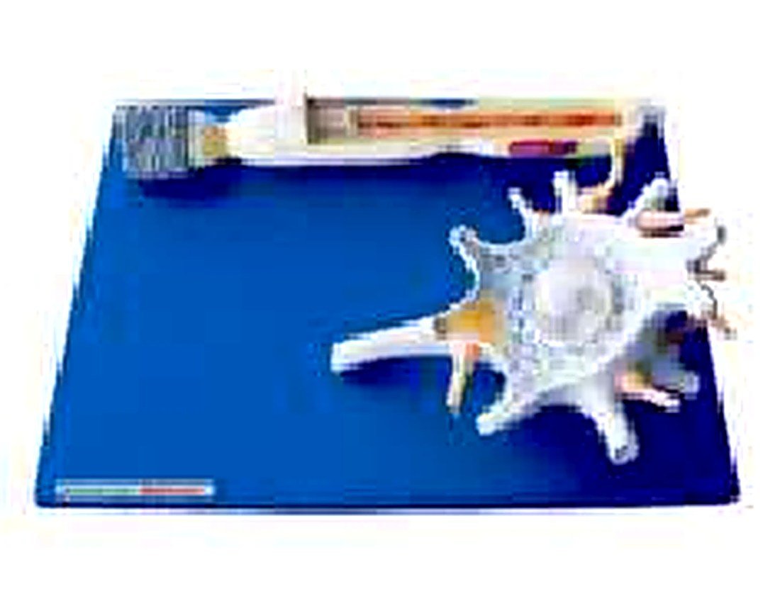 NEURON MODEL (IMPORTED) - 1. Consists of two parts, including neuron body and neuron fiber.