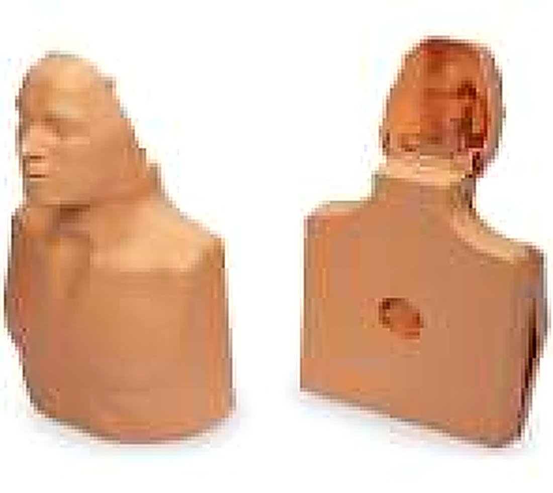 Adult Male/Child /Female Top (3-in-1) Manikin
