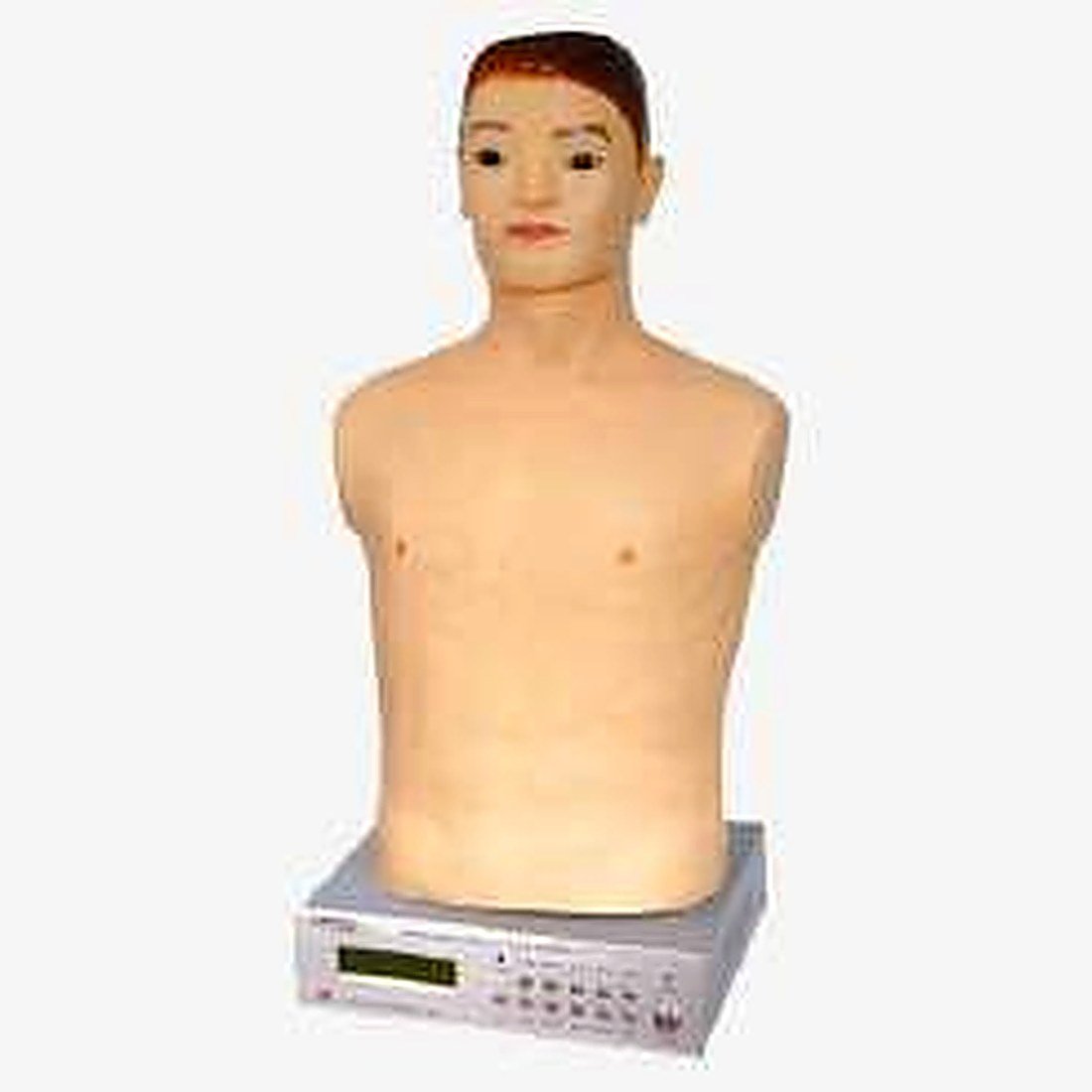 AUSCULTATION MANIKIN (IMPORTED)